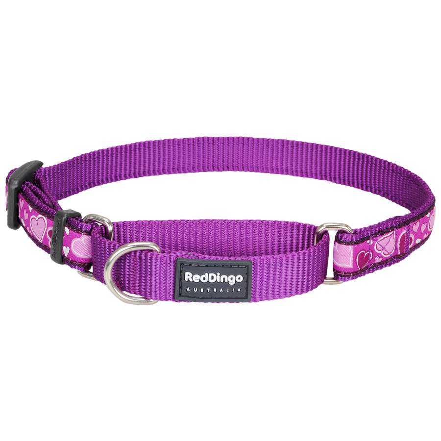Red Dingo Breezy Love Purple Large Martingale nyakörv