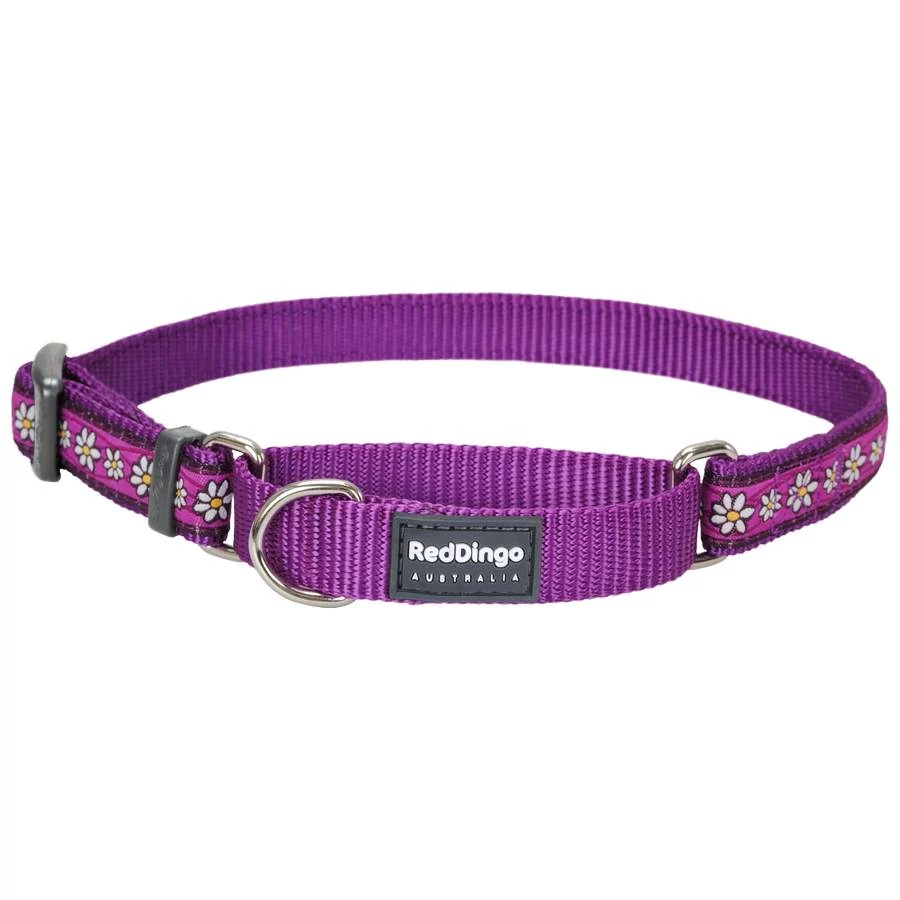Red Dingo Daisy Chain Purple Large Martingale nyakörv