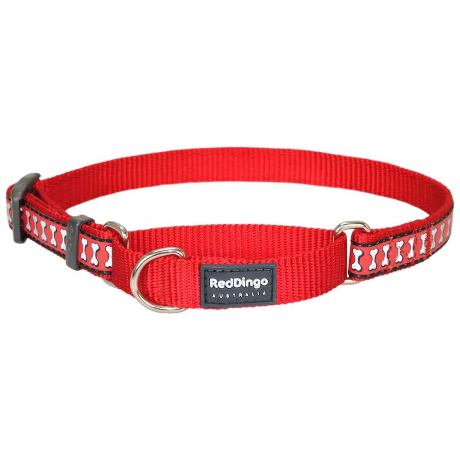 Red Dingo Reflective Red Medium Martingale nyakörv