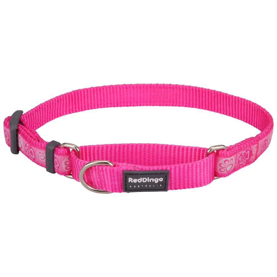Red Dingo Paw Impressions Hot Pink Large Martingale nyakörv