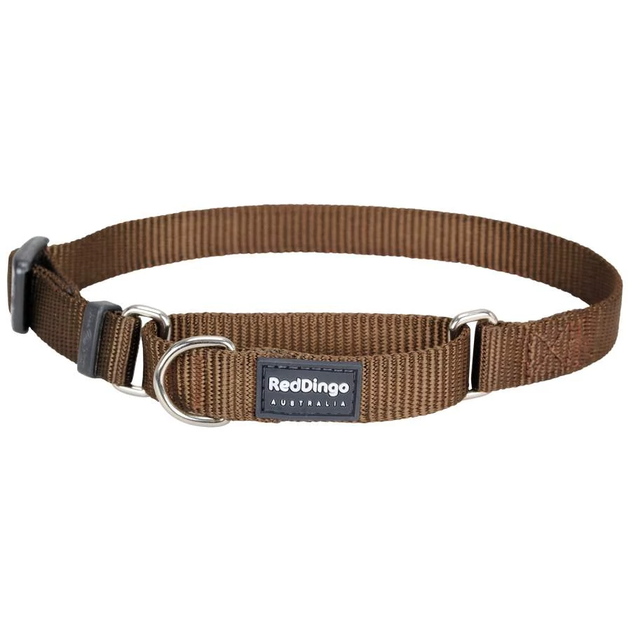 Red Dingo Brown Medium Martingale nyakörv