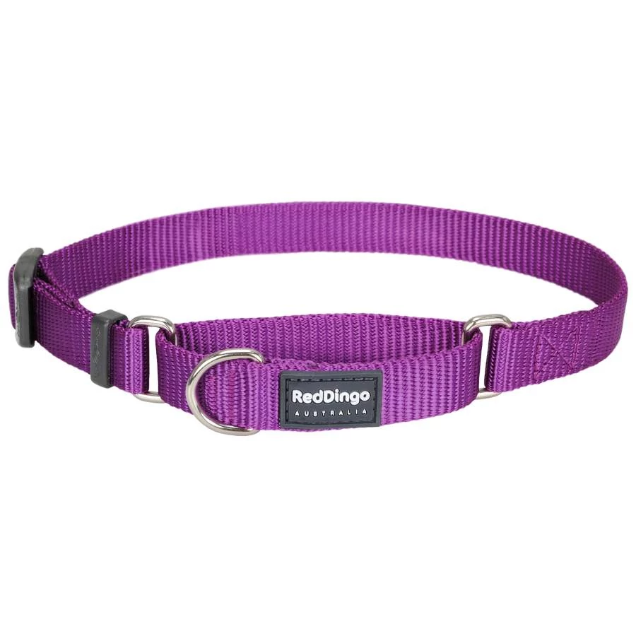 Red Dingo Purple Medium Martingale nyakörv
