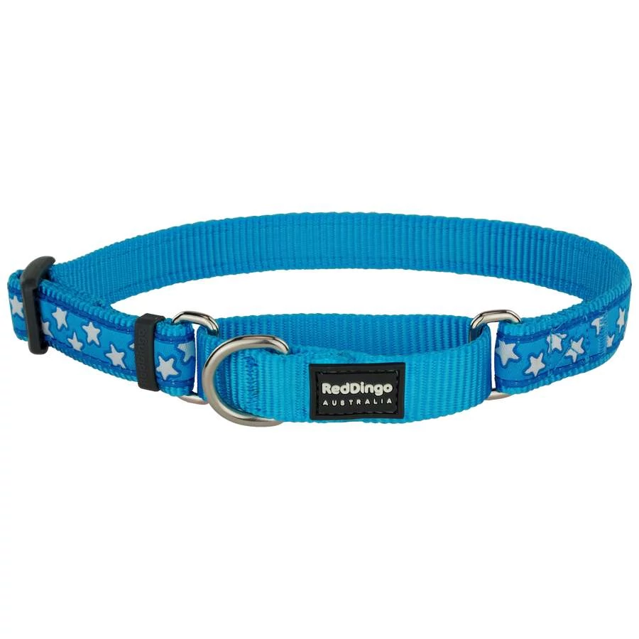 Red Dingo Stars Turquoise Medium Martingale nyakörv