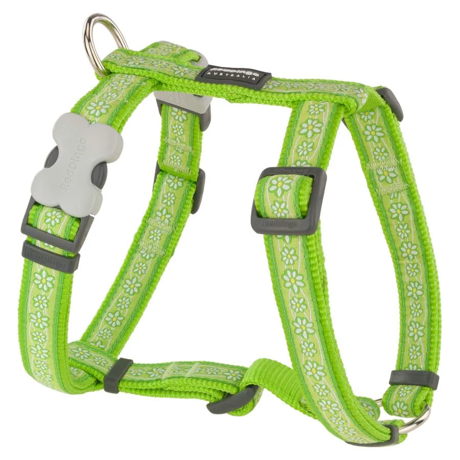Red Dingo Daisy Chain Lime XS Dog hám
