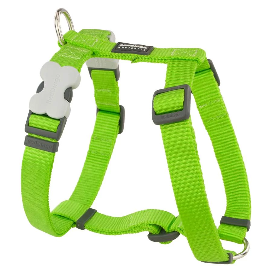 Red Dingo Lime Medium Dog hám