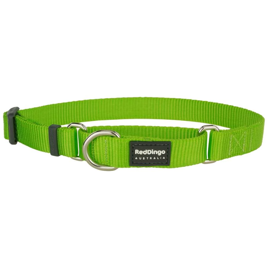 Red Dingo Lime Medium Martingale nyakörv
