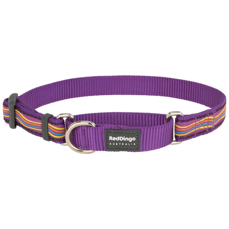 Red Dingo Dreamstream Purple Medium Martingale nyakörv