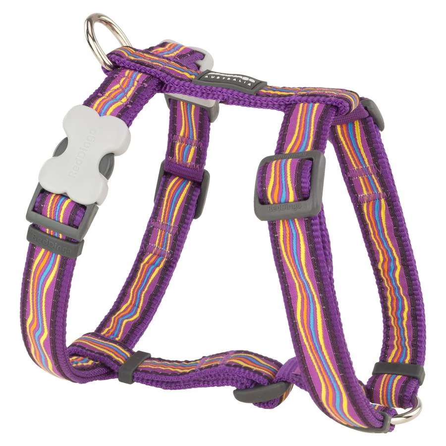 Red Dingo Dreamstream Purple XLarge Dog hám