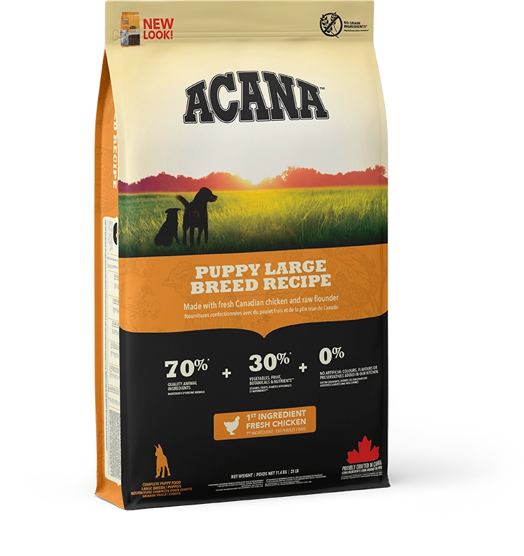ACANA Puppy Large Breed 11,4kg