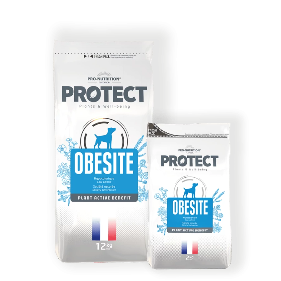 Flatazor Pro-Nutrition Protect Dog Obesite 2kg
