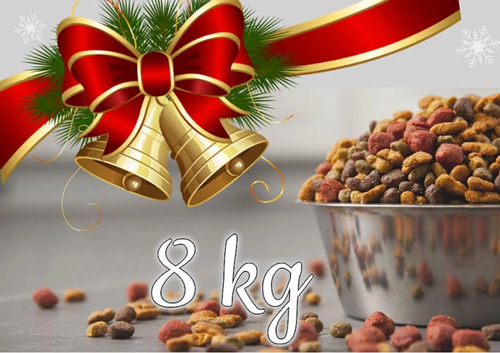 8 kg száraztáp adomány a nyírmadai menhelynek