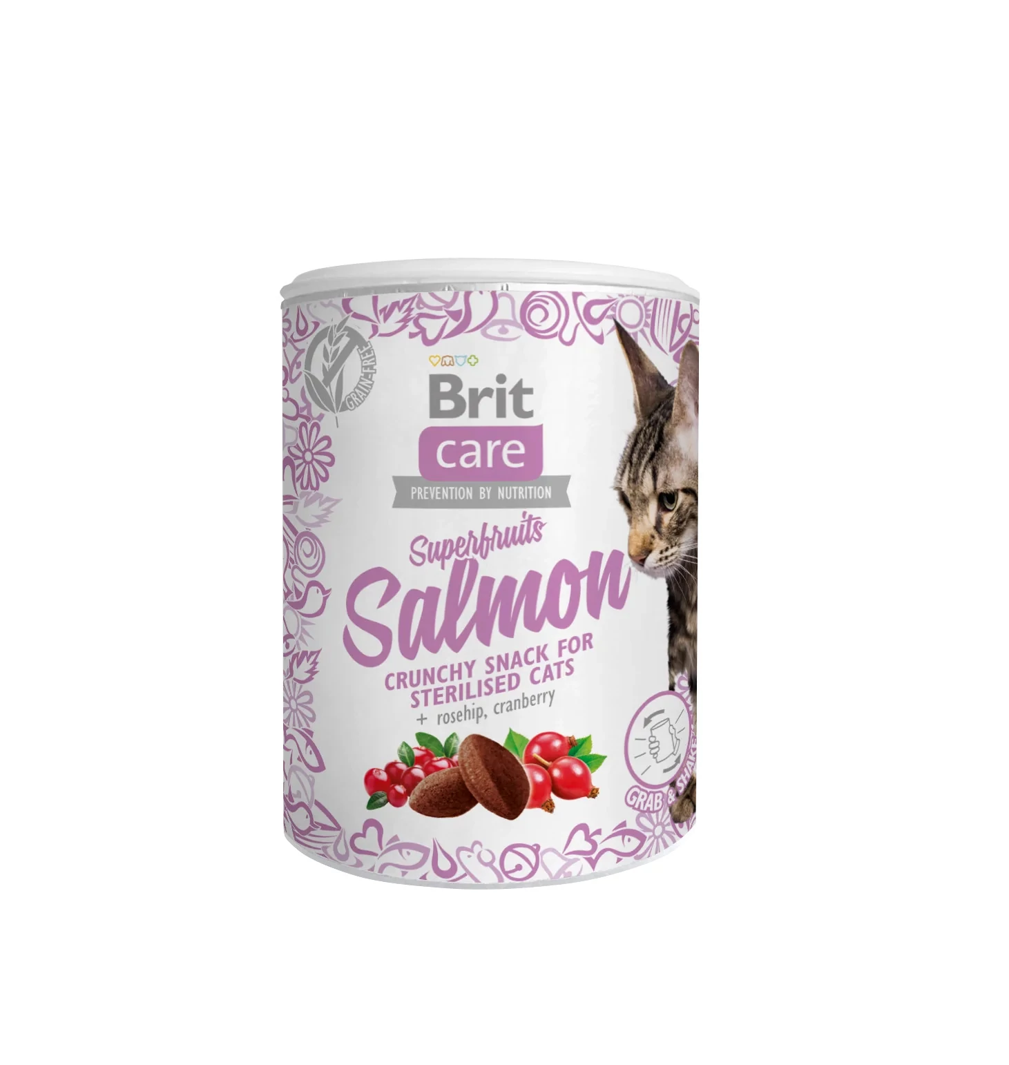 Brit Care Cat Snack Superfruits salmon 100g